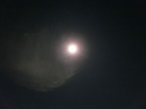 薄雲と月
