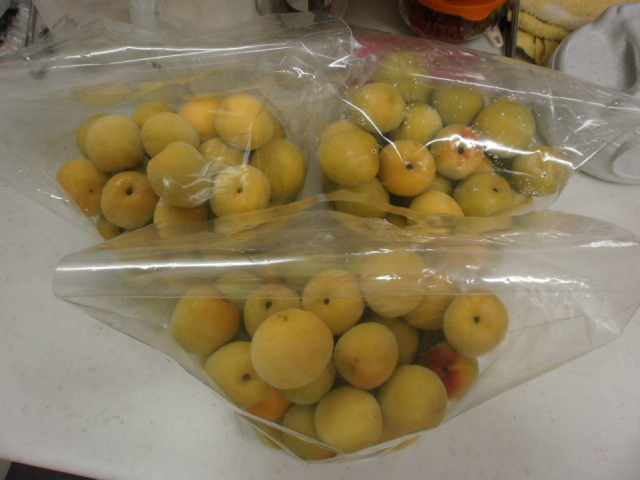 佐賀県産 南高梅 3kg