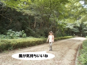 散策コース