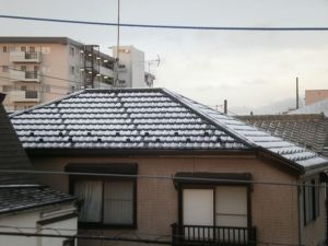 雪が降った朝