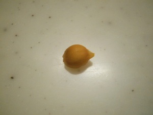 みかんの種